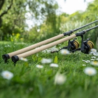 Nash Scope Cork Retractable Carp Rods